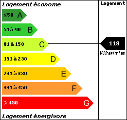 DPE : 119