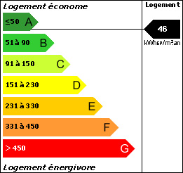 DPE : 46